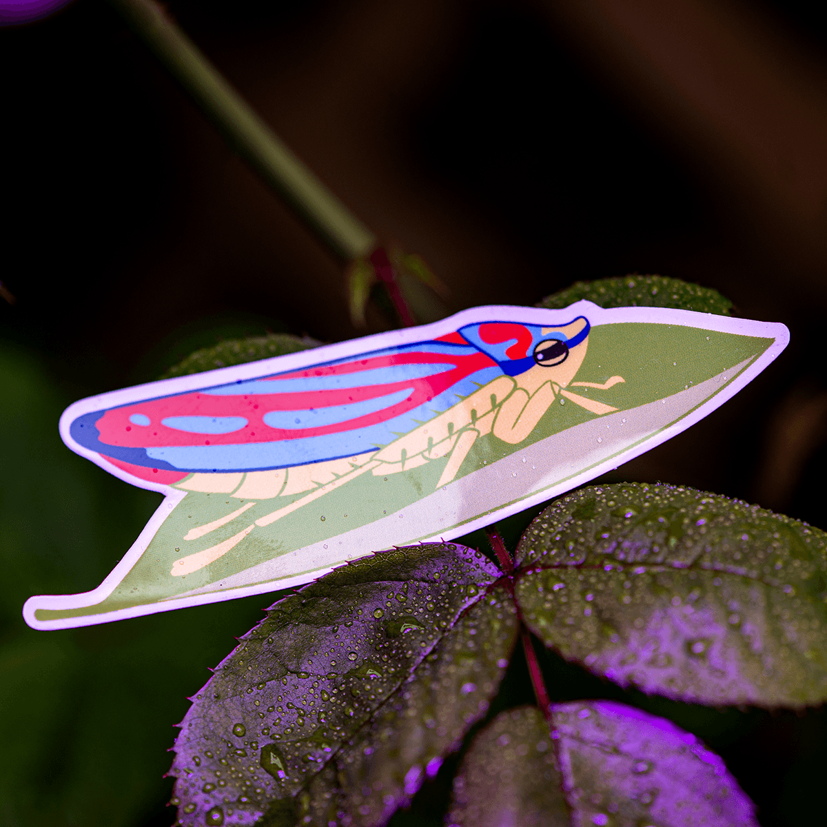 Candy Striped Leafhopper Sticker by The Roving House