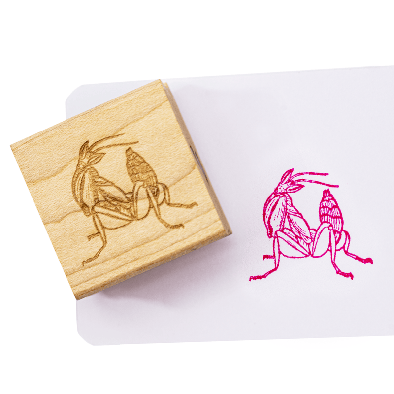 A wooden stamp of an orchid mantis nymph, displaying the stamped image in pink.