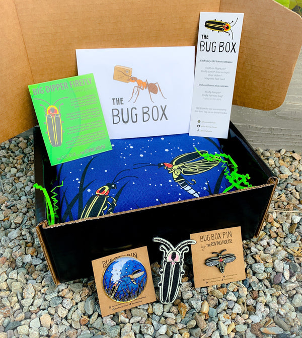 July 2021 Bug Box (Big Dipper Firefly)