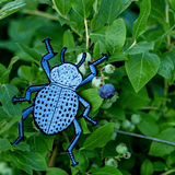 June 2023 Bug Box (Blue Death Feigning Beetle) by The Roving House