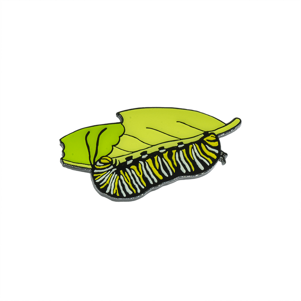 An enamel pin of a white, black, and yellow monarch butterfly caterpillar eating a green milkweed leaf.
